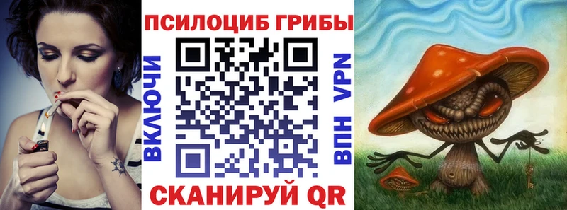 Псилоцибиновые грибы Psilocybine cubensis Вихоревка
